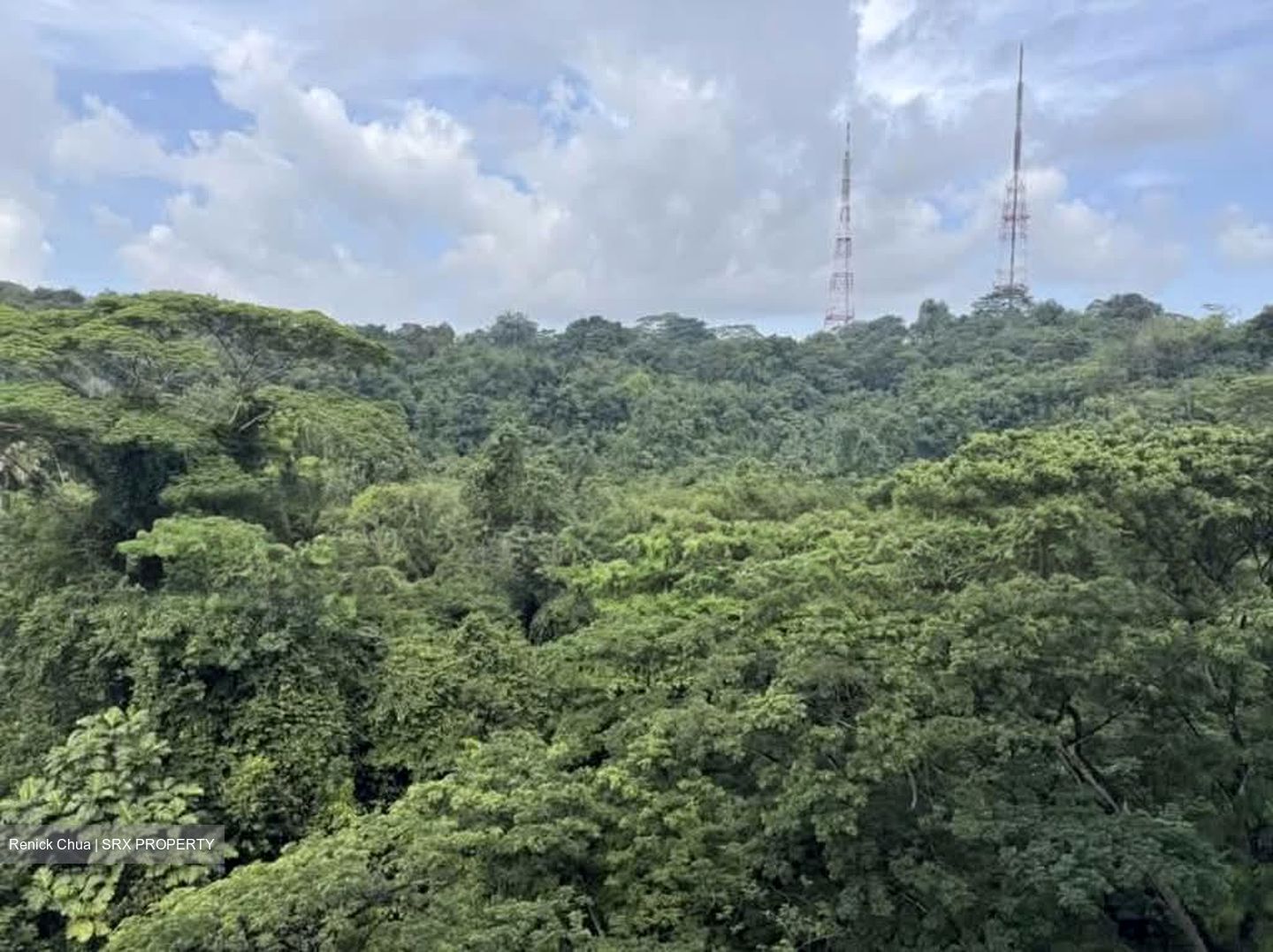 Meralodge (D23), Condominium #566147451